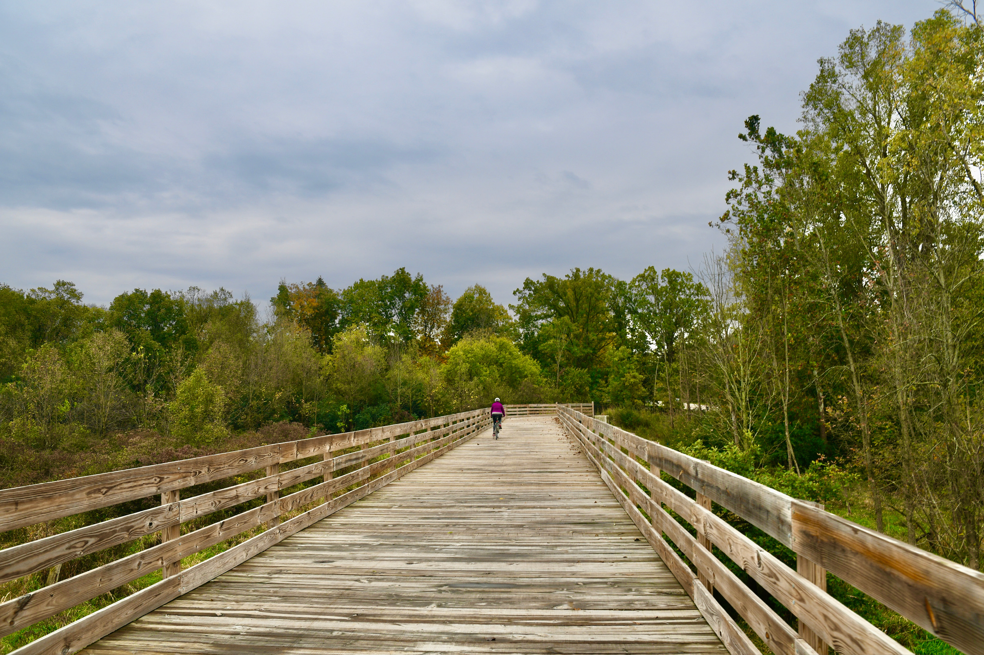 MSU to Lake Lansing Trail